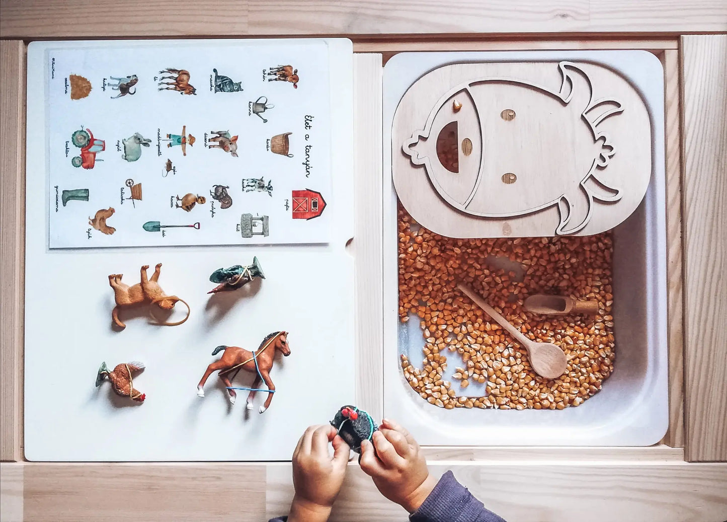 Flisat Insert kreatív fejlesztő tábla - Etesd meg a kecskét Borbolya