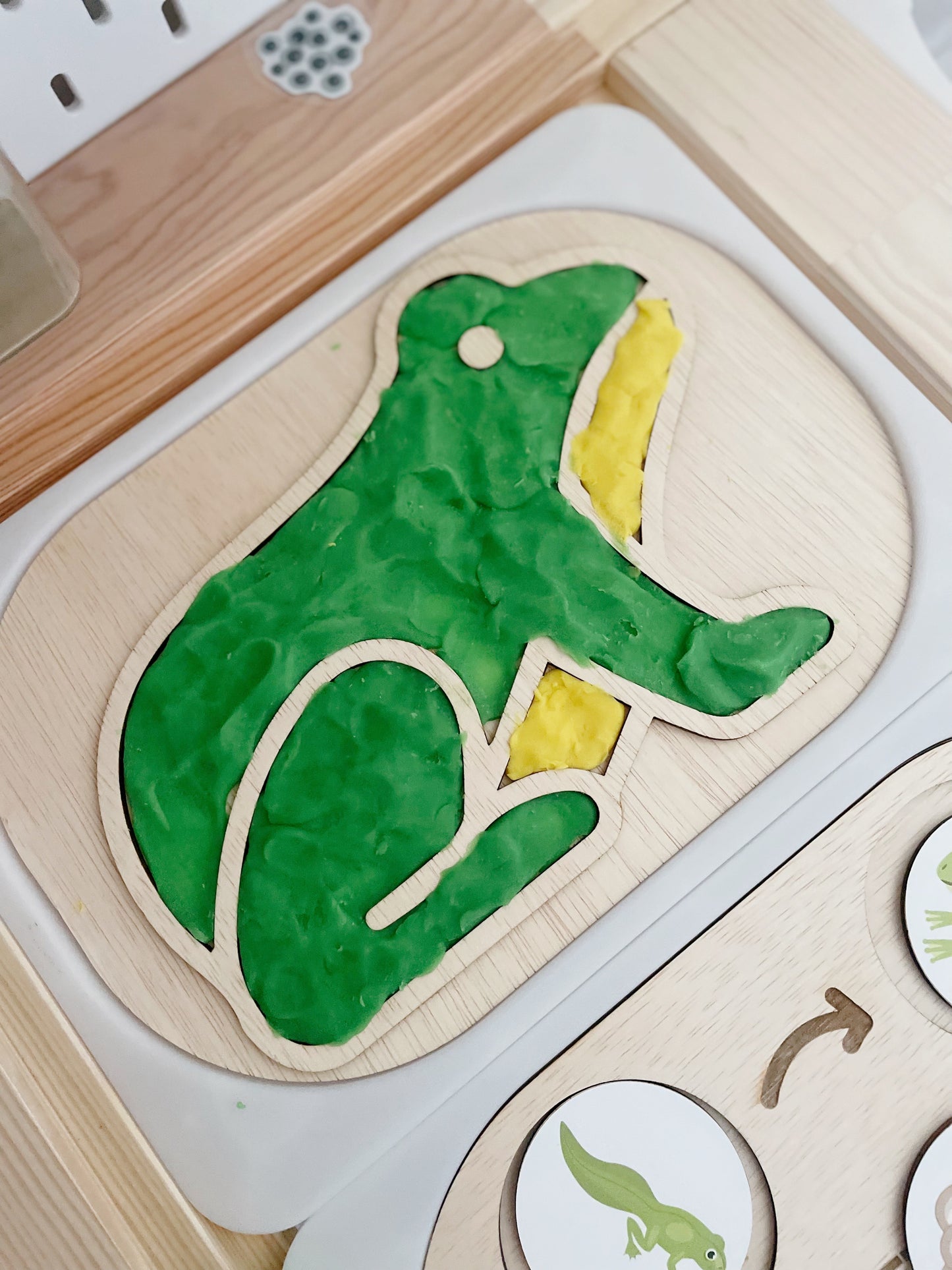 Flisat Insert Creative Development Board - Frog