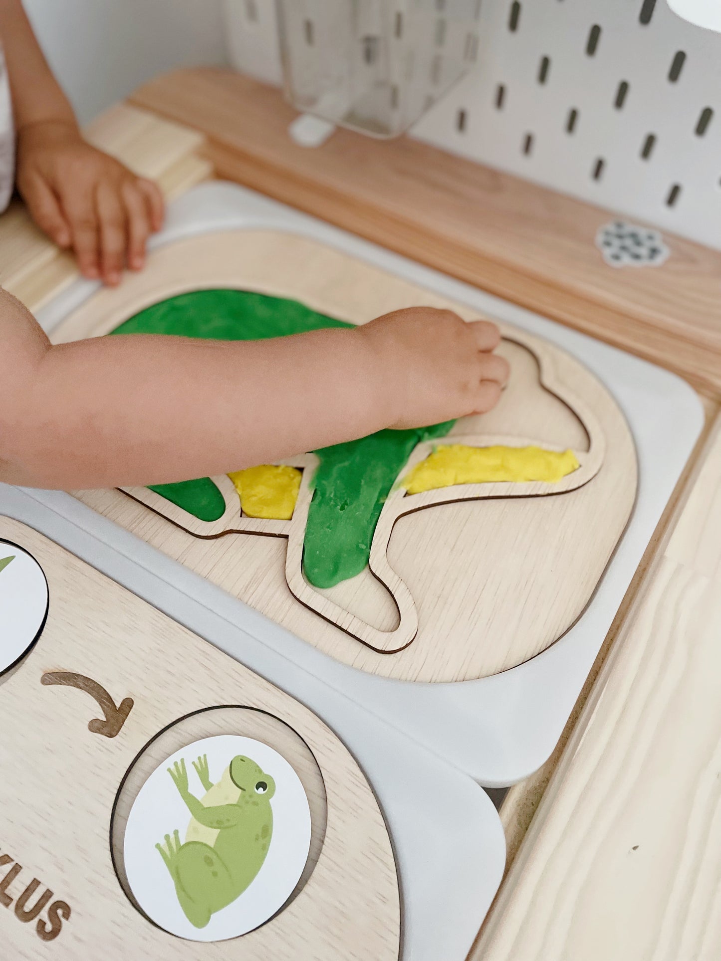 Flisat Insert Creative Development Board - Frog