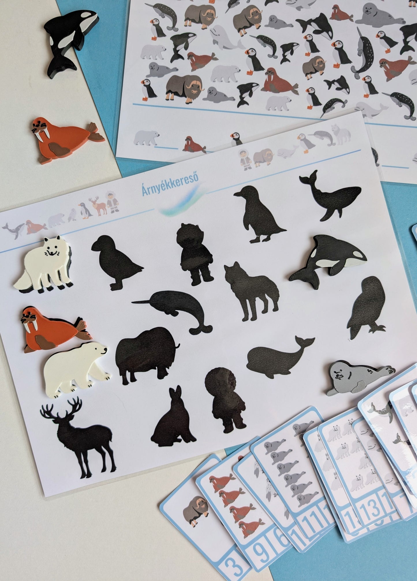 Északi-sark játékos feladatlap csomag (limitált kiadás)