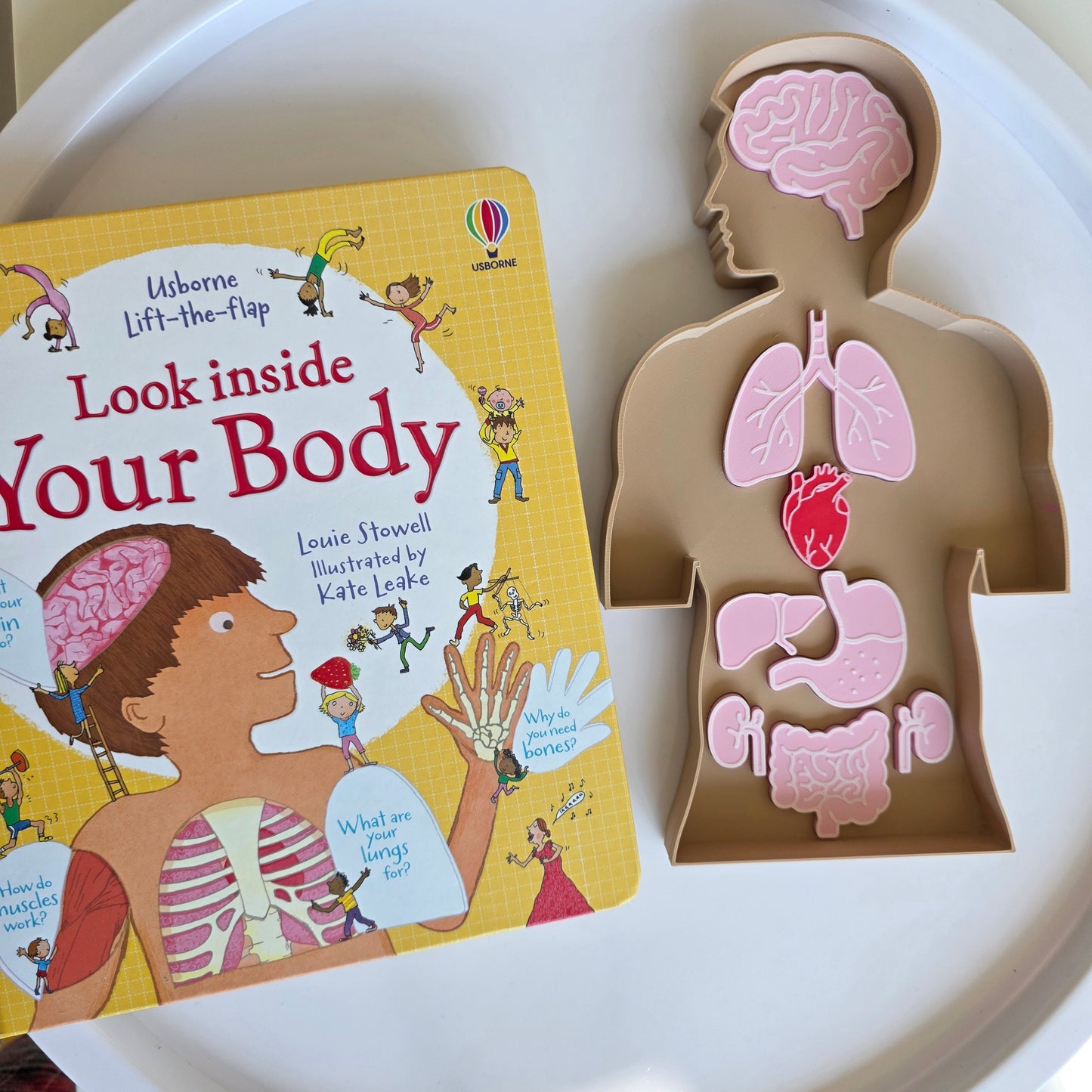 Emberi test oktatótálca kivehető szervekkel és tanulókártyákkal