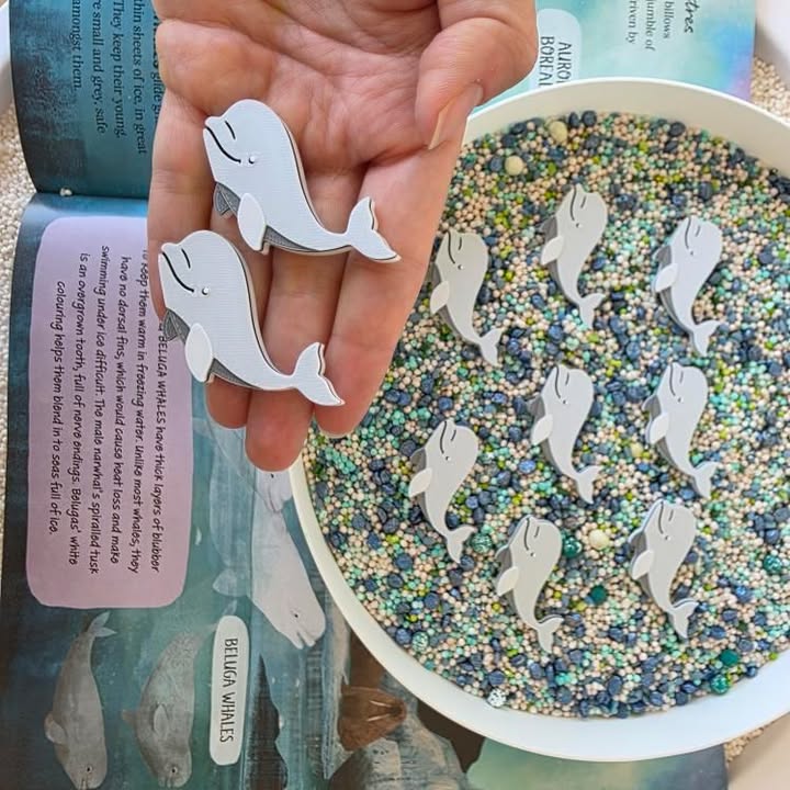 Nyílt végű játékelemek - Északi sark állatai