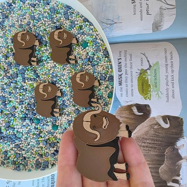 Nyílt végű játékelemek - Északi sark állatai