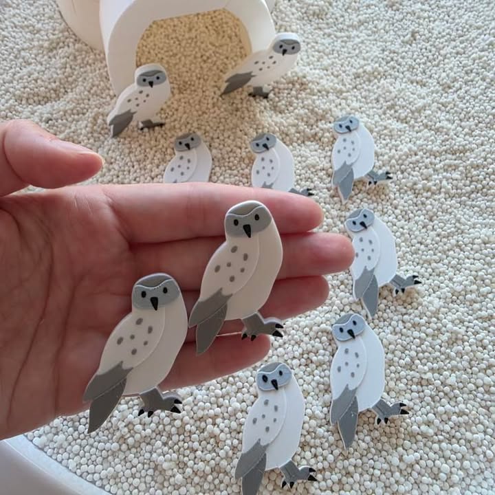 Nyílt végű játékelemek - Északi sark állatai