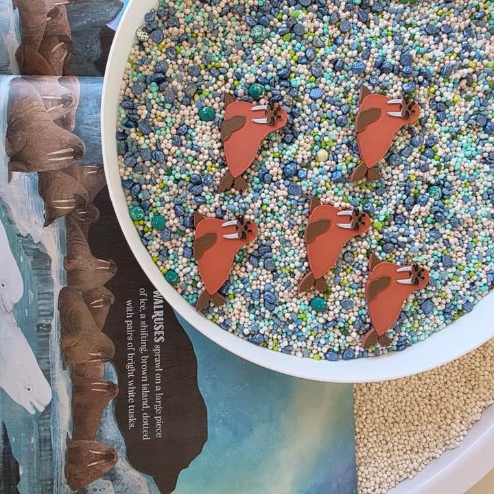 Nyílt végű játékelemek - Északi sark állatai