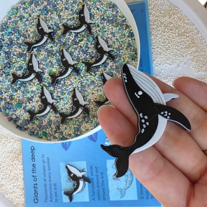 Nyílt végű játékelemek - Északi sark állatai