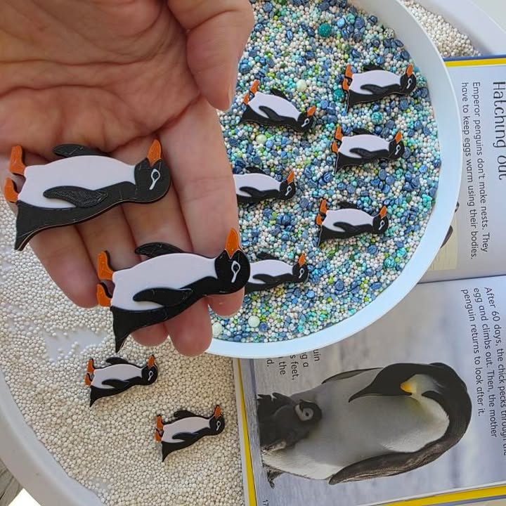 Nyílt végű játékelemek - Északi sark állatai