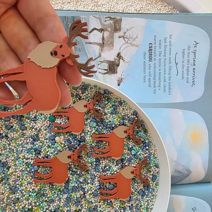 Nyílt végű játékelemek - Északi sark állatai