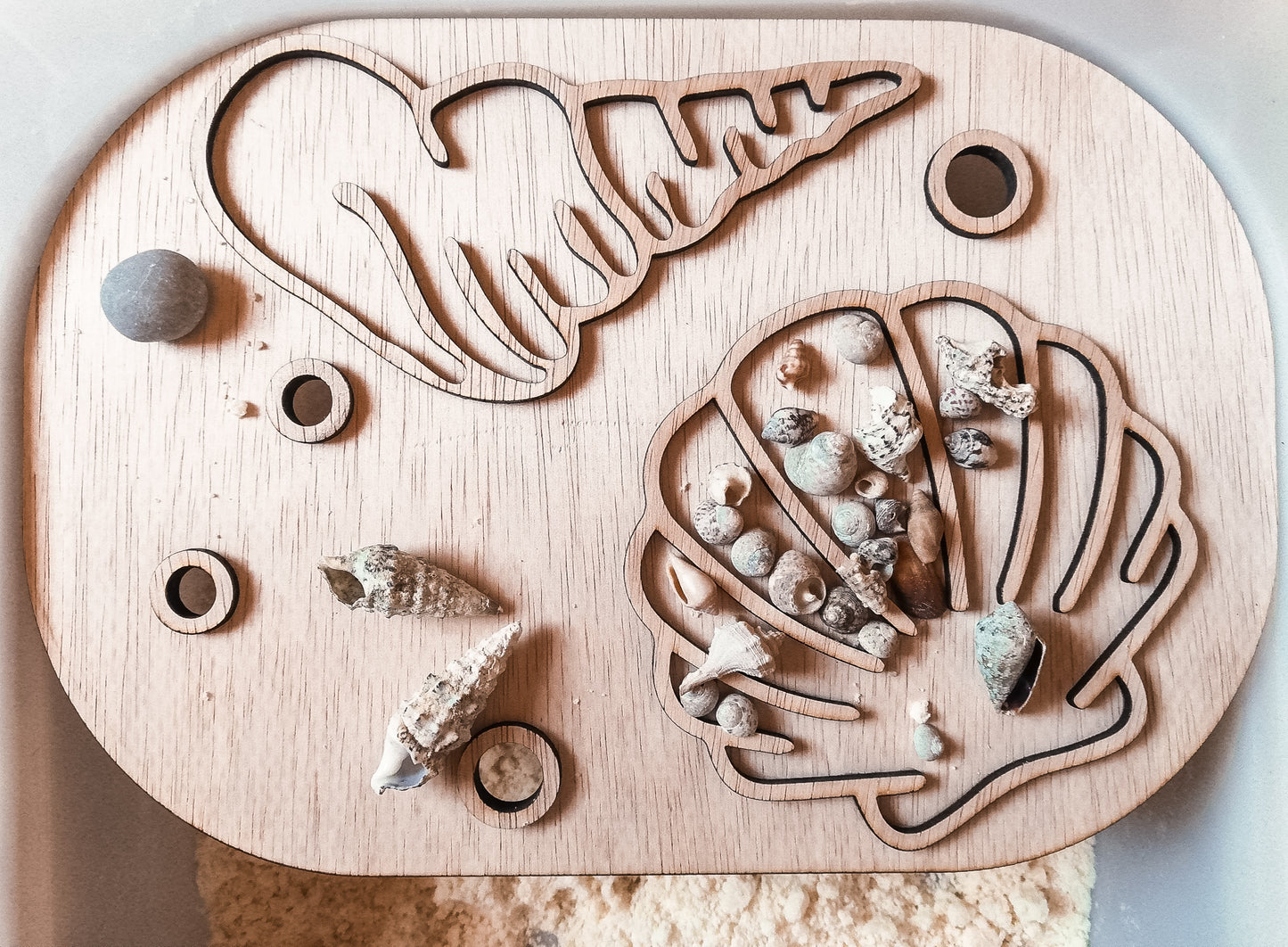 Flisat Insert creative board - Seashells