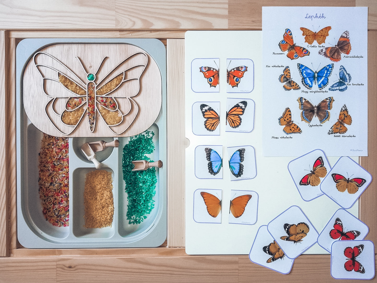 Flisat Insert creative board - Butterfly