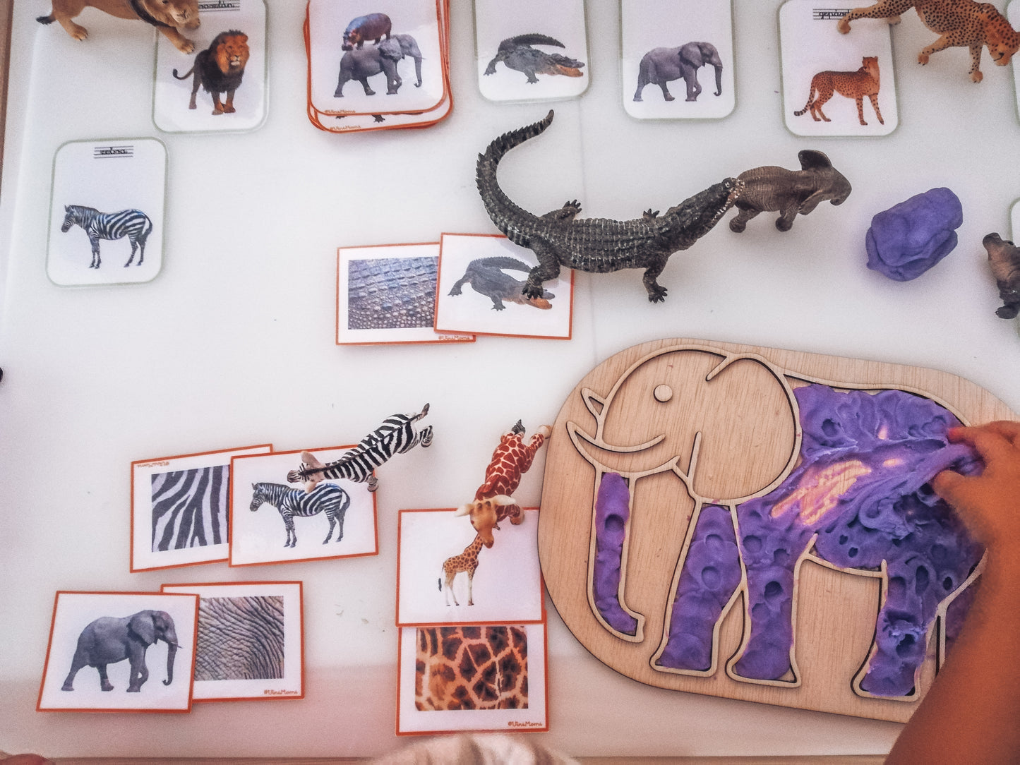 Flisat Insert creative board - Elephant