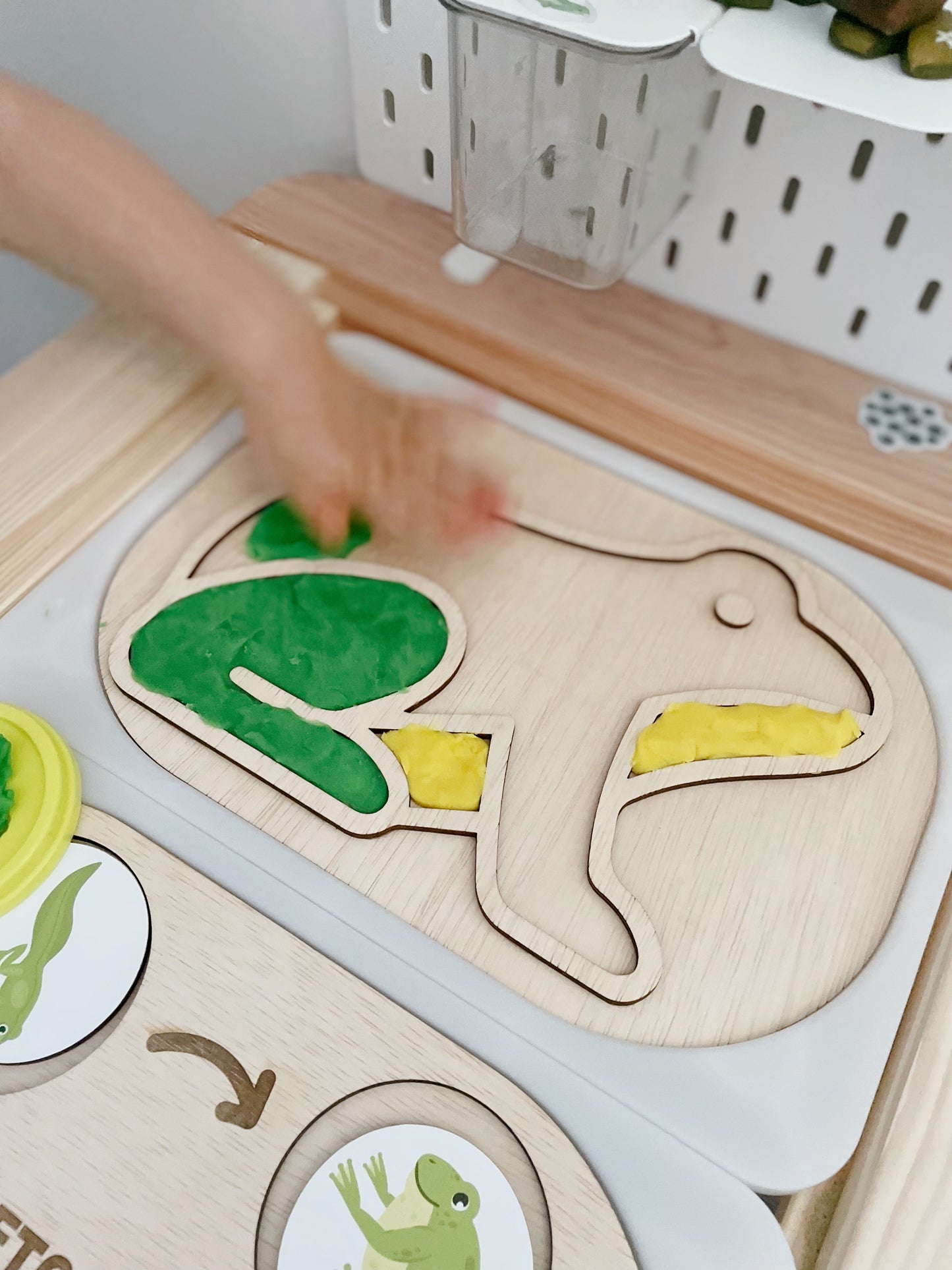 Flisat Insert Creative Development Board - Frog