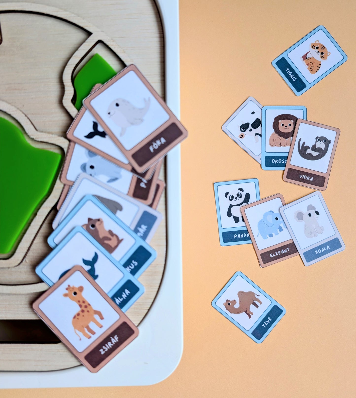 Ismerkedés a bolygónkkal