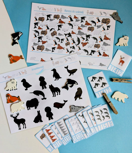 Északi-sark játékos feladatlap csomag (limitált kiadás)