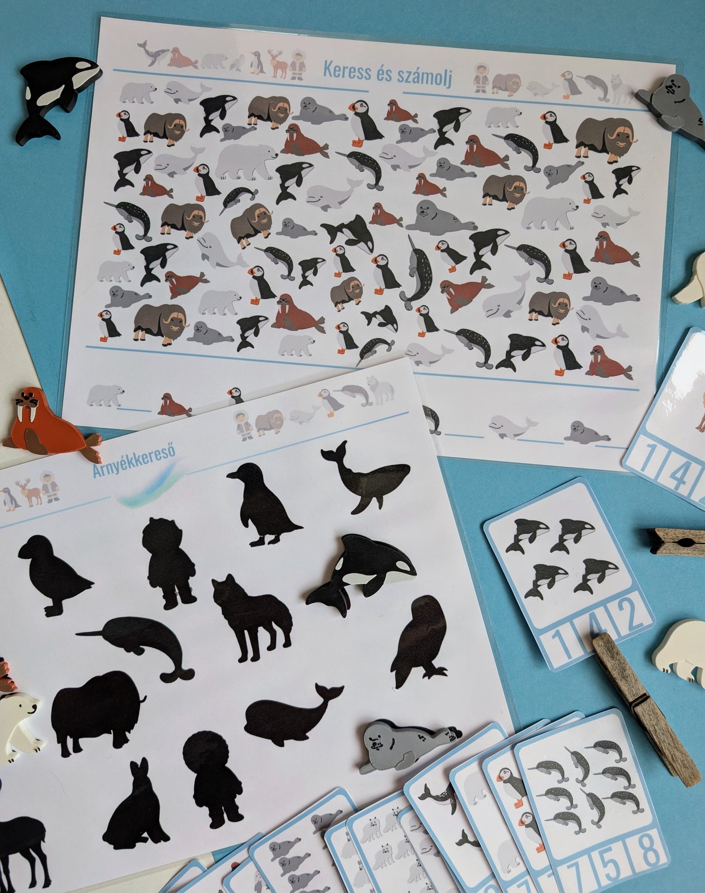 Északi-sark játékos feladatlap csomag (limitált kiadás)