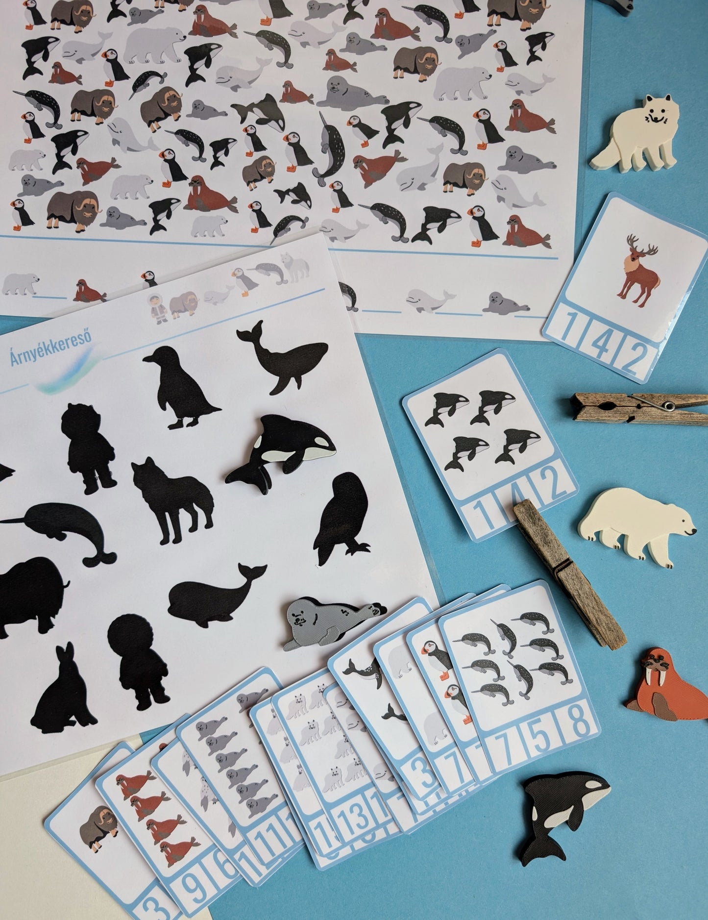 Északi-sark játékos feladatlap csomag (limitált kiadás)